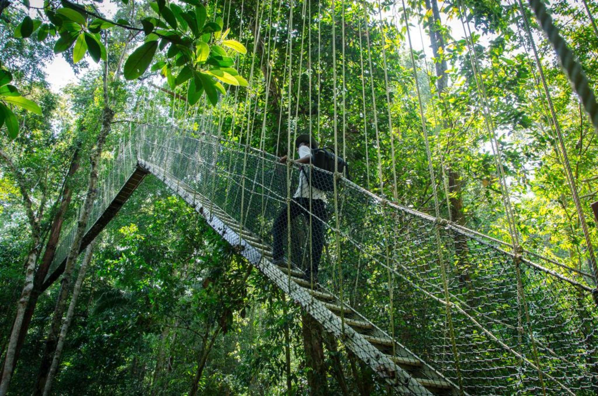 Mutiara Taman Negara Resort Kuala Tahan Bagian luar foto
