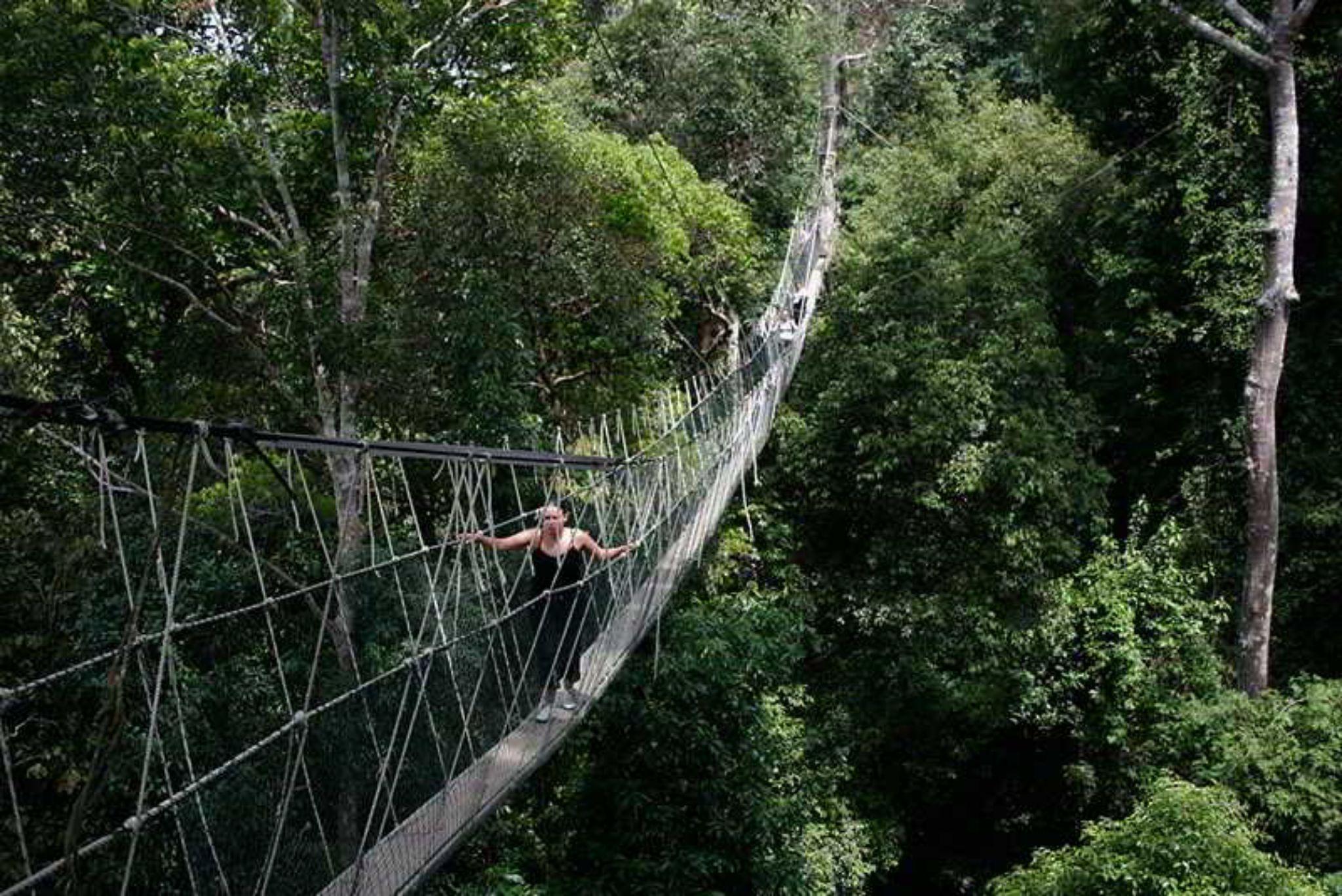 Mutiara Taman Negara Resort Kuala Tahan Bagian luar foto