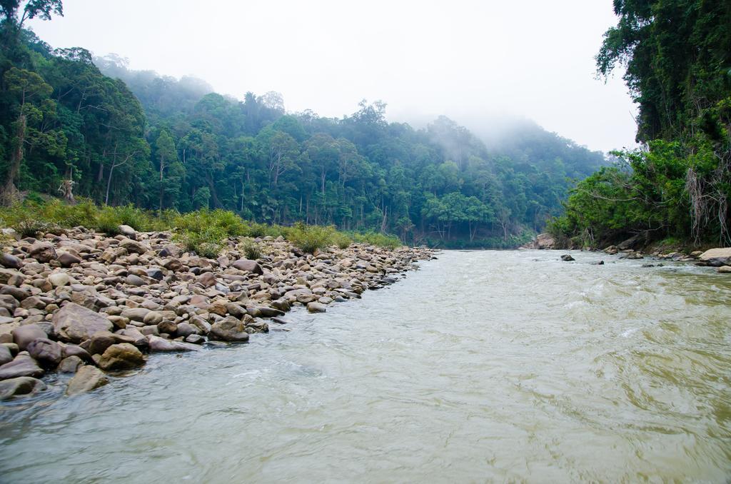 Mutiara Taman Negara Resort Kuala Tahan Bagian luar foto
